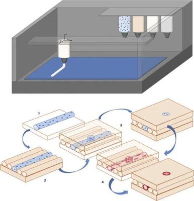 定向能沉积(DED)增材制造: 生物基材料制造的物理特性、缺陷、挑战与应用